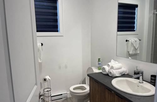 Quartier 5-4 Apartment | APPT DENIS Proche du vieux quebec, des chutes de montmorency, l'ile d'orleans,