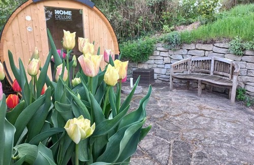 Hartberg House | Villa Nonna - Longing for the south - vacation home, bathroom, WC, garden side