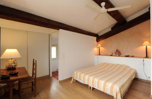 Thuir Other | Les oliviers - THUIR