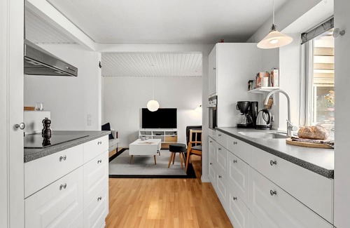 Farso House | Pet friendly home in Farsø with house a panoramic view