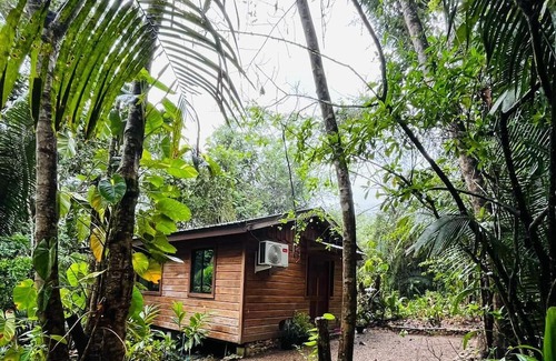 San Ignacio Cabin | Green Jay Cabin 1