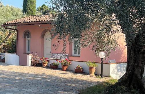 Montopoli in Val d'Arno House | Shelter among olive trees, Tuscan countryside, a stone's throw from characteristic cities
