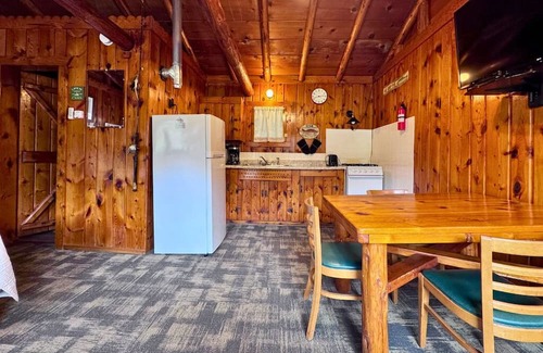 Trout Lake Cabin | Adorable Cabin #4 at Twin Cedars Resort in Trout Lake, MI with row boat and AC