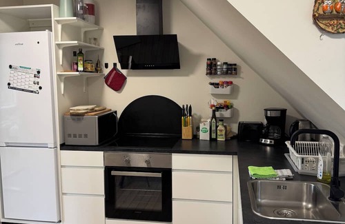 Odense Apartment | Elegant Odense Retreat – Rooftop Views & Room for 7