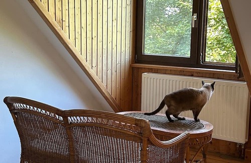 Grutz House | Idyllic vacation home in Havelland - nature, peace & lots of charm