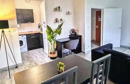 Chinon Apartment | Le Ronsard, Chinon View of the fortress & Collegiate church of Saint Mexme - Historic center 5mn