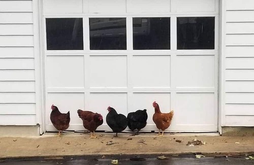 Darnestown House | Pleasant Cozy Airstream with Amazing Stargaze and Farm Views in Maryland