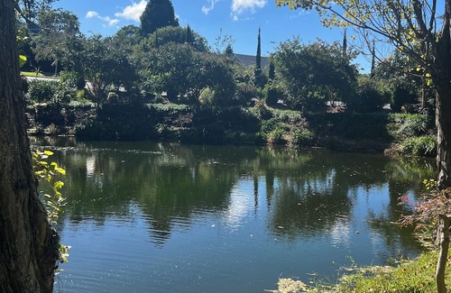 Tilba Tilba Cottage | Foxglove Luxury accommodation stay. Tranquil retreat in Tilba Tilba