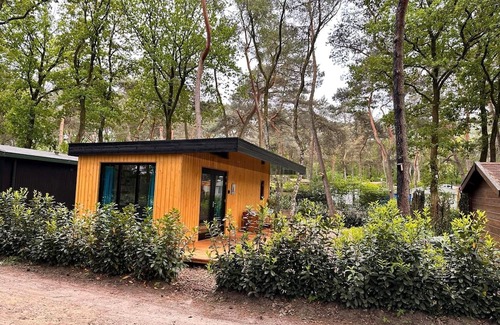 Zuidwolde House | Nice cozy cozy cottage on edge of dirt road and view over meadow.