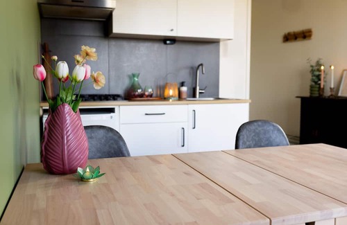 Zuidwolde House | Nice cozy cozy cottage on edge of dirt road and view over meadow.