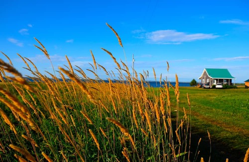 Hamilton Cabin | Private, relaxing seaside retreat. Fun outdoor amenities for everyone.