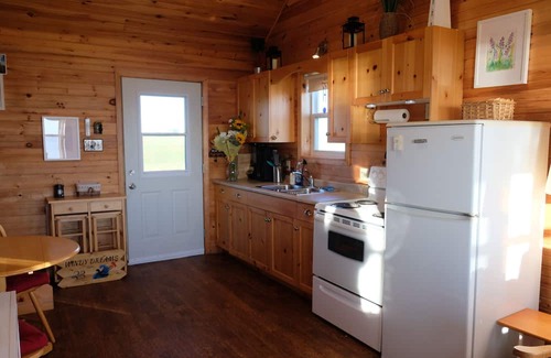 Hamilton Cabin | Private, relaxing seaside retreat. Fun outdoor amenities for everyone.