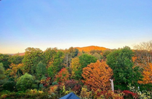 Pittsfield Condo | Thanksgiving in Pittsfield, Mass.- 1 BR 1 Ba. Snow & More! 11/26-11/29/2025