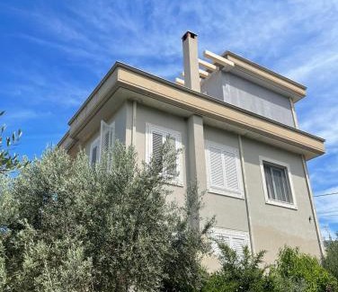 Tragjas Villa | Olives Garden Villa