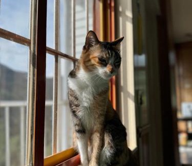 Fuxing District Bed & Breakfast | 一路向山民宿