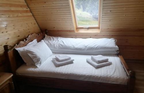 Busteni House | Cabana A-frame Padina