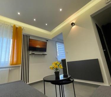 Bourgfelden Apartment | MoonYellow - Basel - AirPort - HighQuality