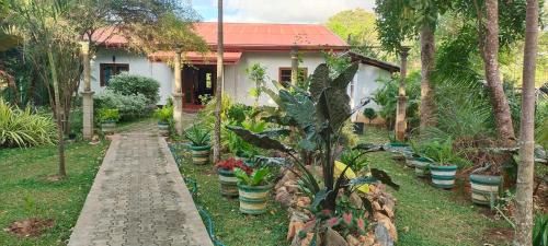 Kimbissa House | peacock house