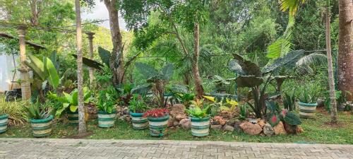 Kimbissa House | peacock house