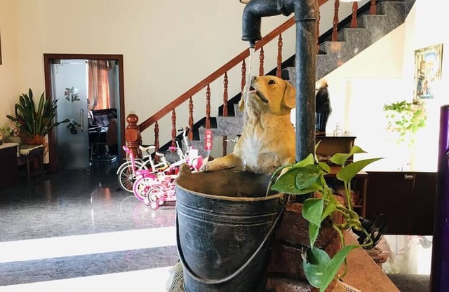 Chong Er Ya She Homestay