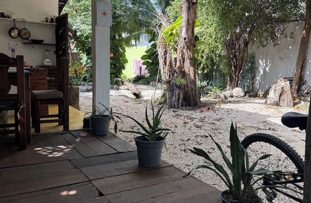 Beautiful treehouse in the heart of Tulum