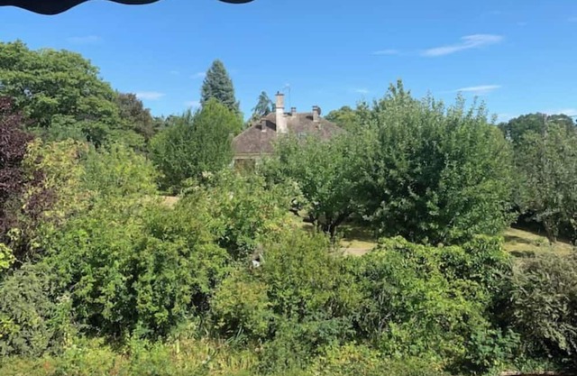 Charming Saint-Fargeau with large garden
