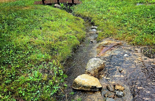 Peaceful campsite with WiFi in Washington