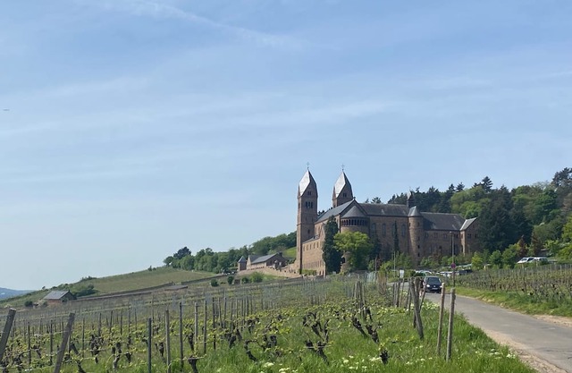 Weinwandernwald im Rheingau