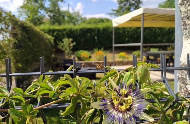 Gite Nohant-Vic, 4 bedrooms, 11 persons