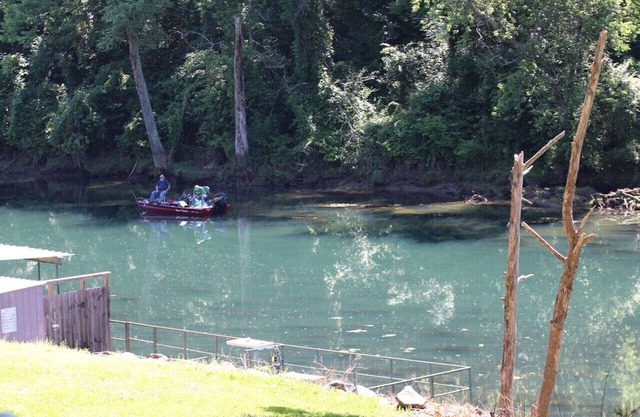 Little Red River Cedar Cabin