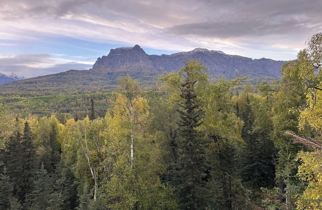 Welcome to the DRY DUCK, off the grid dry cabin that creates great memories!