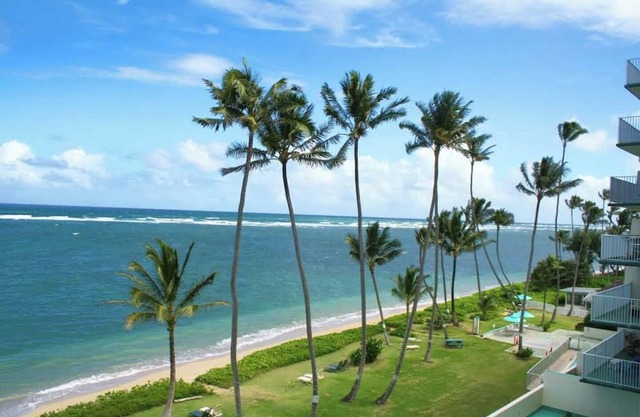 Palm Beachfront | Amazing view, Pool, beach gear
