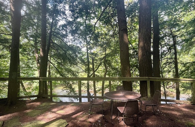 Rustic cottage surrounded by trees, overlooking a creek.