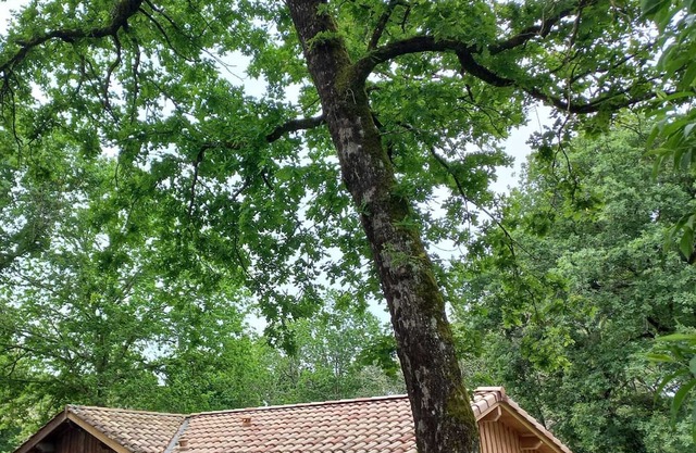 Vrbo Property