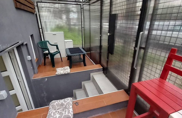 Under the Tree studio, Pet-Friendly
