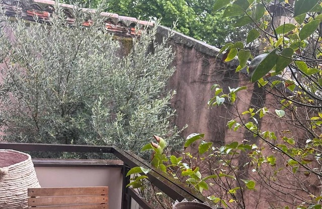 Jardin des Plantes district, T2 private parking in the basement and terrace.