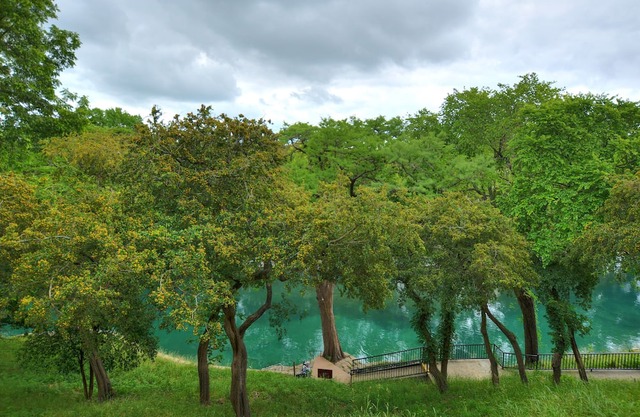 Waterfront Condo on the Comal River. Camp Warnecke C203.