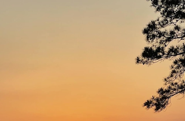Family Oasis at Toledo Bend