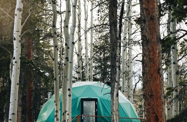 Luxury Glamping Forest Dome w/ Hot Tub