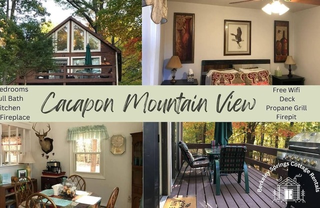 Cacapon Mountain View - Incredible View!