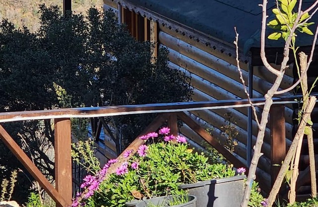 Cozy Chalet with sea and forest view, 20 minutes to the beach, Pet friendly!