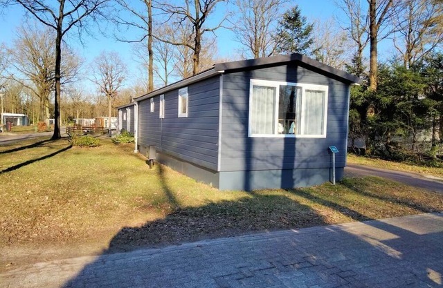 Drenthe Chalet Comfort - pet -free