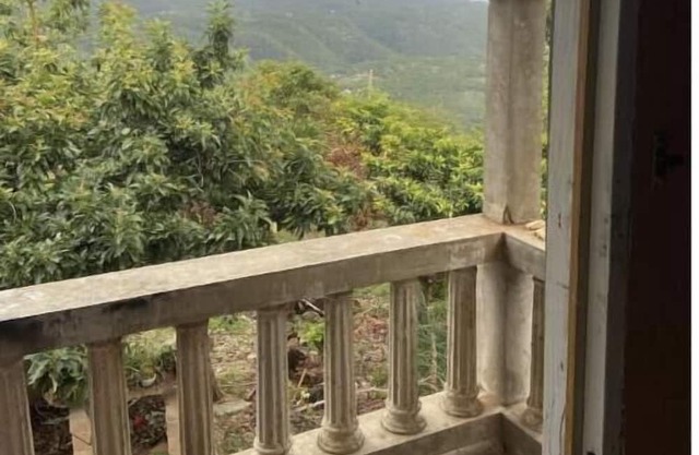 Cozy accommodation in the cool hills of ,Mandeville with a view of the ocean