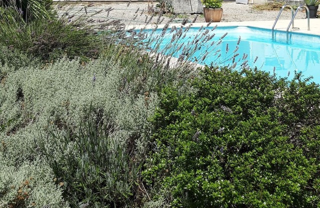 Charantaise Avec Piscine et Parc, 7 Minutes de Saintes, 25 Minutes de Royan