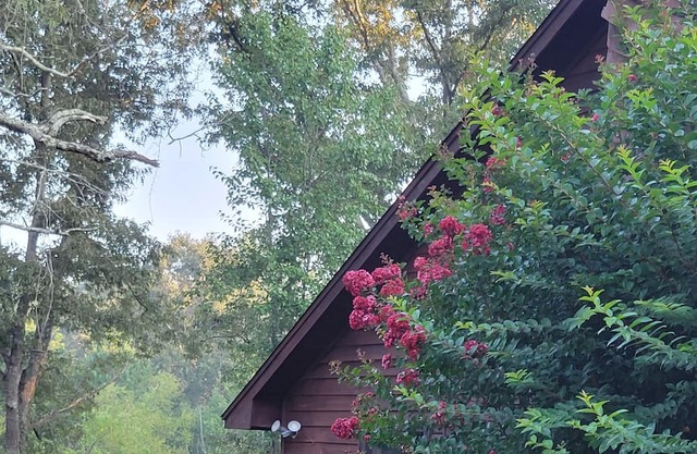 Country Tri-Level Home in Selmer TN -2000 sqft