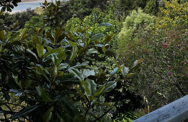 Sea views, 3 minutes drive to Paihia, 3 bed home