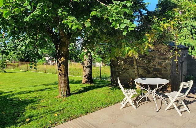 Grand Hortensia - SAINT-PIERRE-DE-TRIVISY