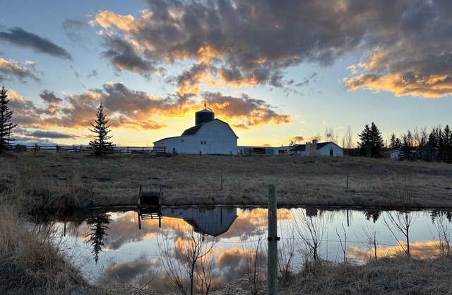 Cozy Ranch Cabin at Historic Farm Two53