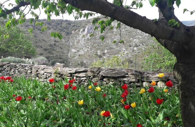 Le Gîte Fleuri - LIMOUSIS
