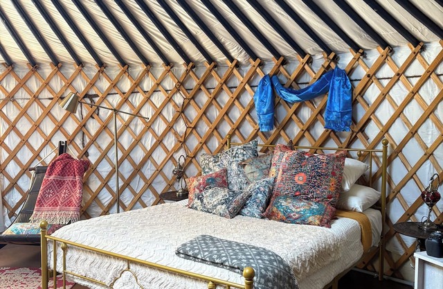 A Cosy Stay in an Authentic Mongolian Yurt!